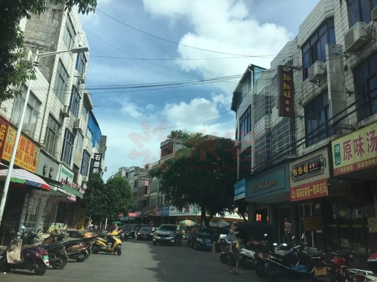 老城街道,令人诧异,这是一个不喜欢安装红绿灯的城市 ▼