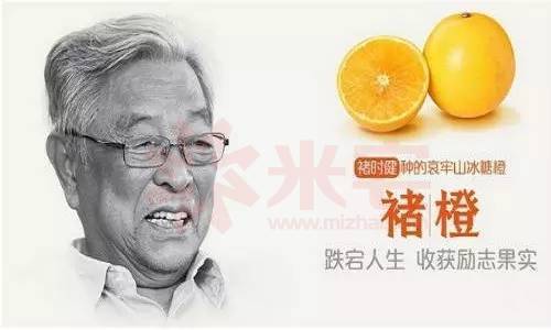 故事现在有了新的开始.