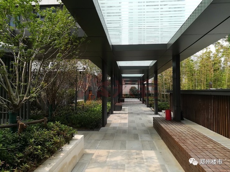 小区内的连廊,连接着每一栋楼,顶部是不阻挡采光的玻璃.