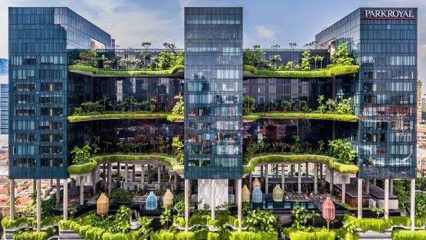 屋顶花园:看城市里的别有洞天如何展示魅力!