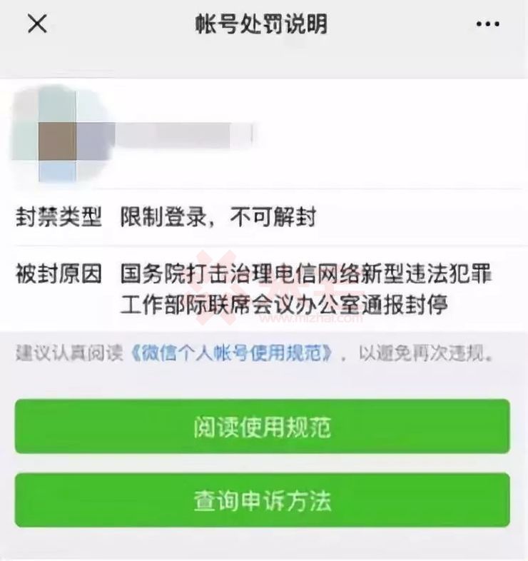 缅甸无赌神,只有杀猪刀!