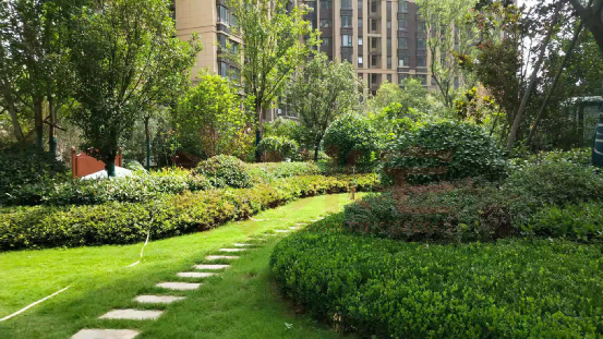 草坪,低灌木,灌木,乔木等,组成了多重立体景观,给小区增色不少.