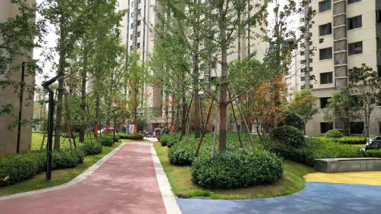 这也是大部分城中村安置小区,迟迟无法解决的顽疾.