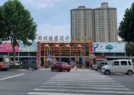 郑州陈砦双桥花卉市场图片